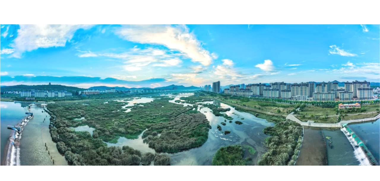 全汝阳找同频:南衙街口那盏灯下,一直暖着你的茶-龙乡之家